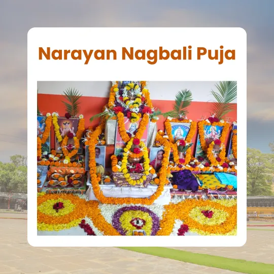 Narayan-Nagbali-Puja
